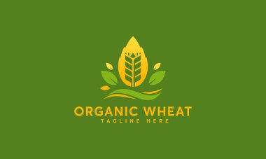 Organik Buğday Logosu konsept vektörü, Modern Buğday Tanesi sembolü, Tarım logosu sembolü tasarladı