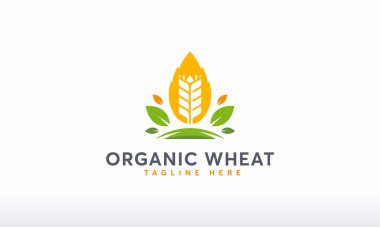 Organik Buğday Logosu konsept vektörü, Modern Buğday Tanesi sembolü, Tarım logosu sembolü tasarladı