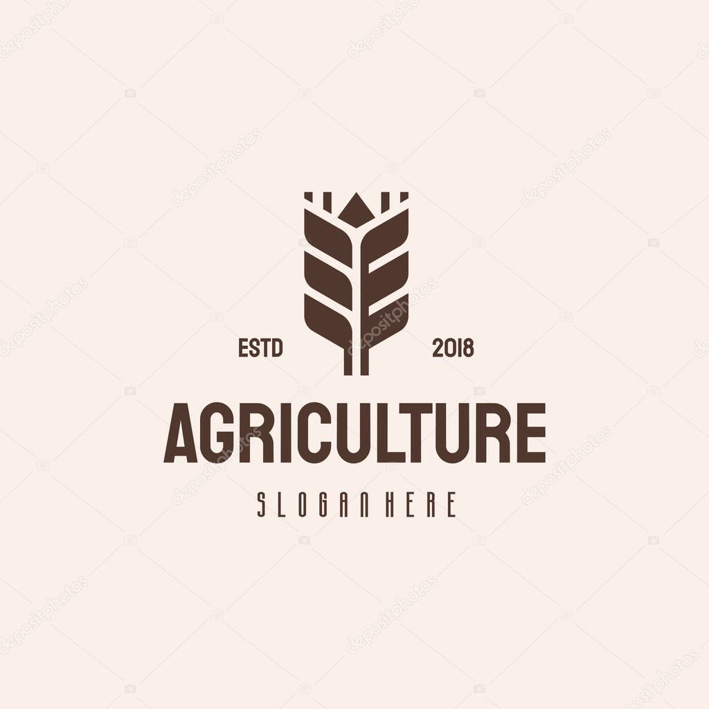 Luxury Grain wheat logo concept, Agriculture wheat Logo Template vector icon, Farm logo