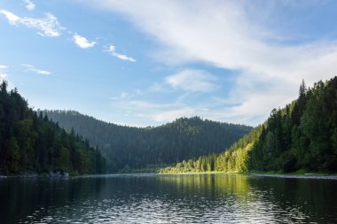 Kozalaklı ormanların arasında bir nehir, arka planda dağlar. Gündüz manzarası