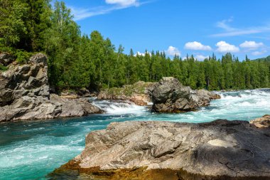 Dağ nehrinin, yeşil orman ve vahşi yaşam arasındaki çalkantılı su akışının görüntüsü.