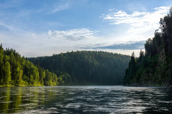 Rio Entre Uma Floresta Coníferas Montanhas Fundo Paisagem Diurna — Fotografia de Stock