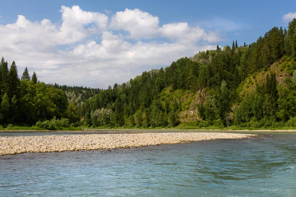 Dağ Nehri Yeşil Kozalaklı Orman Güneşli Bir Yaz Gününde Bulutlu — Stok fotoğraf