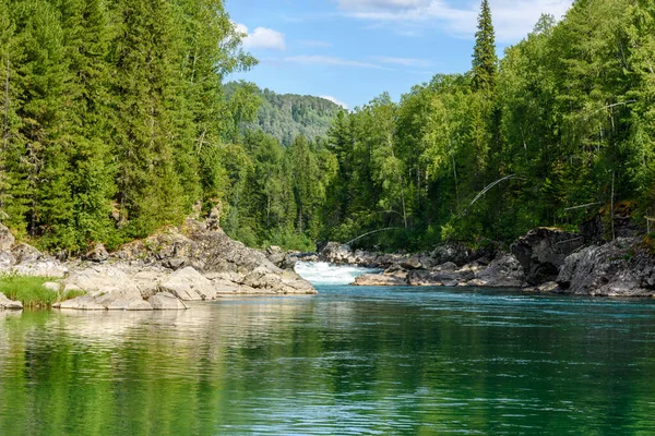 View River Rapids Rocky Shores Green Coniferous Forest Sunny Day — Stock Photo, Image