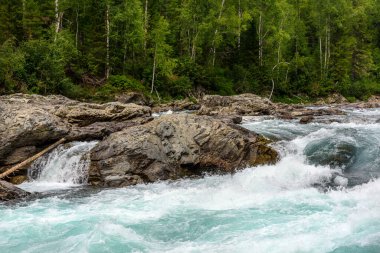 Dağ nehrinin, yeşil orman ve vahşi yaşam arasındaki çalkantılı su akışının görüntüsü.