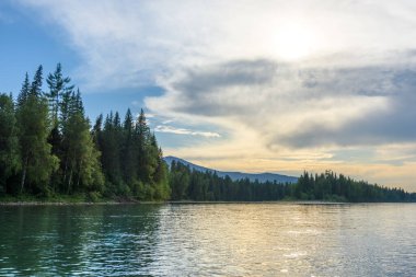 Kozalaklı ormanların arasında bir nehir, arka planda dağlar. Gündüz manzarası