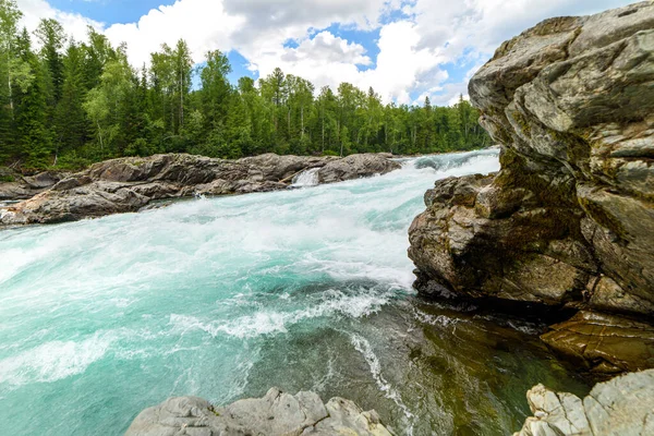 Vista Fluxo Água Turbulento Rio Montanha Entre Floresta Verde Vida — Fotografia de Stock