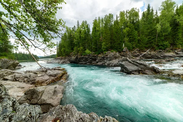 Widok Burzliwy Przepływ Wody Górskiej Rzeki Wśród Zielonego Lasu Dzika — Zdjęcie stockowe