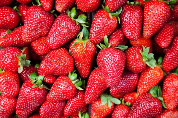 Erdbeeren als Hintergrund — Stockfoto