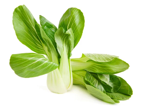 Two choi cabbage — Stock Photo, Image