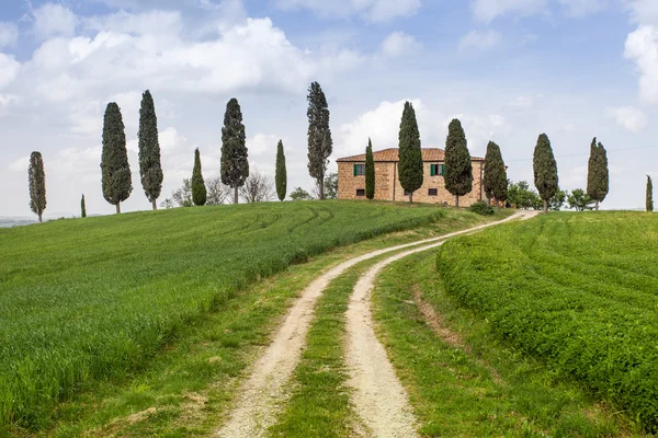 Tuscan farm villa — Stock Photo, Image