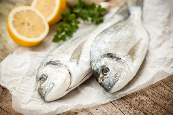 Förgylld-head havsruda fisk — Stockfoto