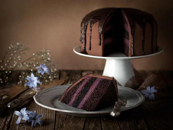 Vintage chocolate cake with blueberry cream — Stock Photo, Image