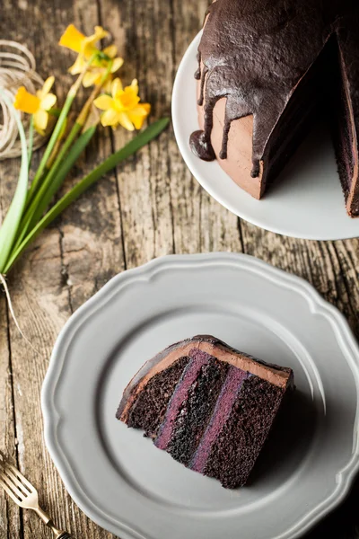 Vintage chocolate cake with blueberry cream — Stock Photo, Image