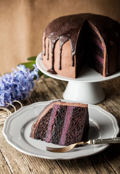 Vintage chocolate cake with blueberry cream — Stock Photo, Image