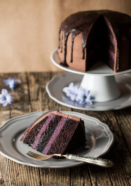 Vintage chocolate cake with blueberry cream — Stock Photo, Image