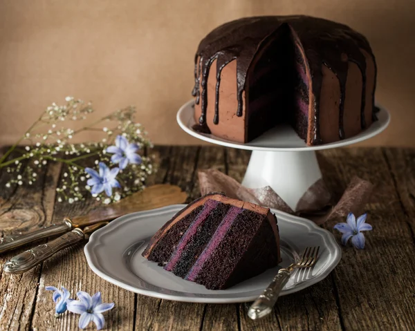 Pastel de chocolate vintage con crema de arándanos —  Fotos de Stock