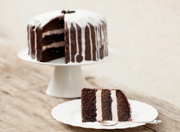 Chocolate cake with coconut icing — Stock Photo, Image