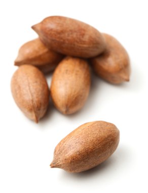 Pecas nutshells içinde 