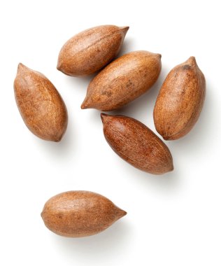 Nutshells içinde pekan fındık 
