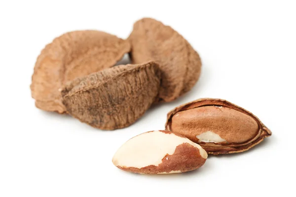 Nueces de Brasil — Foto de Stock