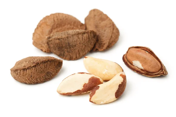 Nueces de Brasil — Foto de Stock