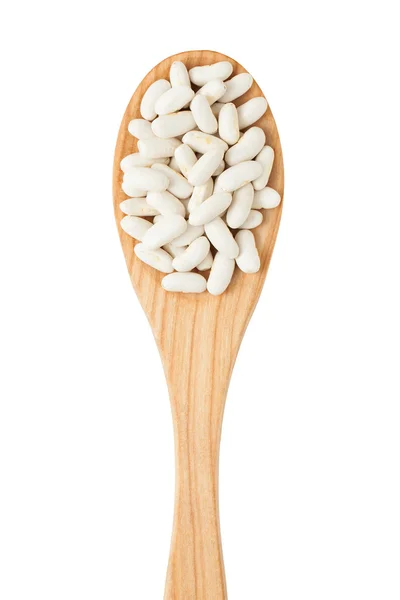 Fagioli bianchi su cucchiaio di legno — Foto Stock