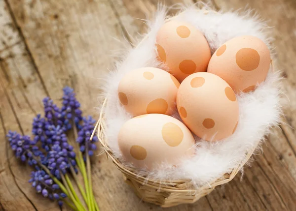 Paskalya yumurtaları noktalar ile dekore edilmiştir. — Stok fotoğraf
