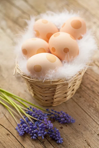 Paskalya yumurtaları noktalar ile dekore edilmiştir. — Stok fotoğraf
