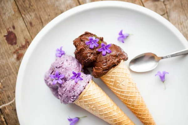 Healthy blueberry and cocoa vegan icecream — Stock Photo, Image