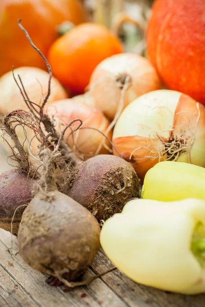 Gemüse aus eigenem Anbau — Stockfoto