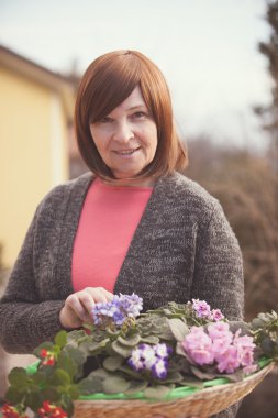 Elderly woman with violet flowers  clipart