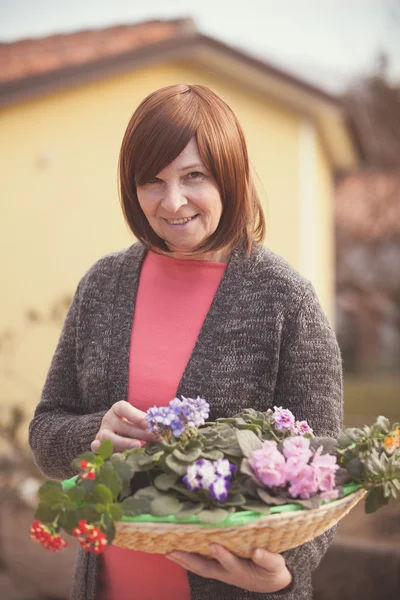 Mulher idosa com flores violetas — Fotografia de Stock