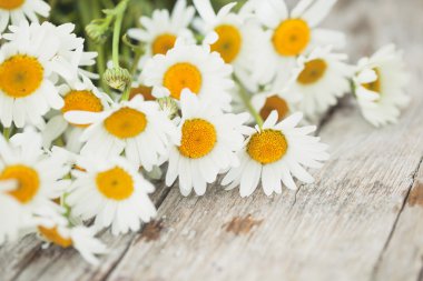 Ahşap masa üzerinde papatya çiçekler