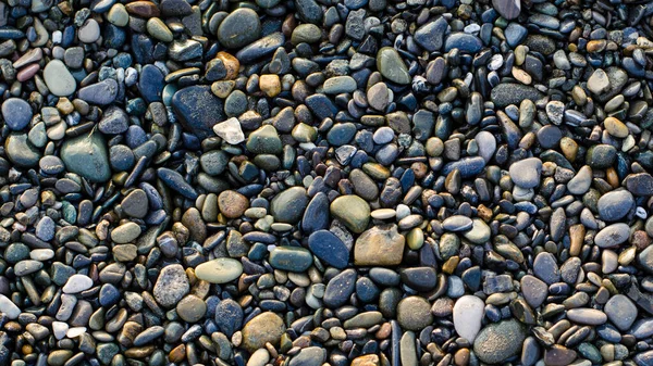 Guijarros Marinos Oscuros Multicolores Piedras Húmedas Brillantes Ecología Una Playa — Foto de Stock