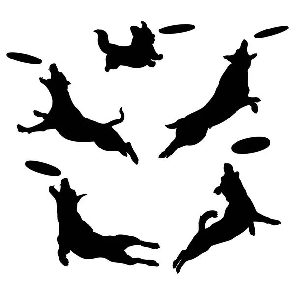 Silhuetas Cães Jogar Frisbee Cão Saltar Agarra Disco Ilustração Vetorial Vetor De Stock