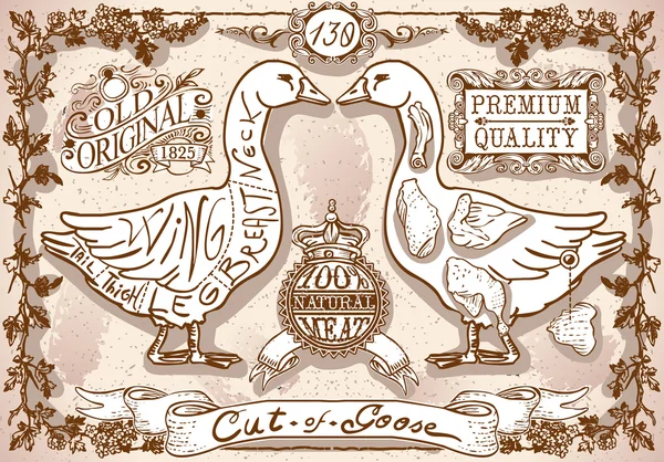 Vintage Page of English Cut of Goose — Stock Vector