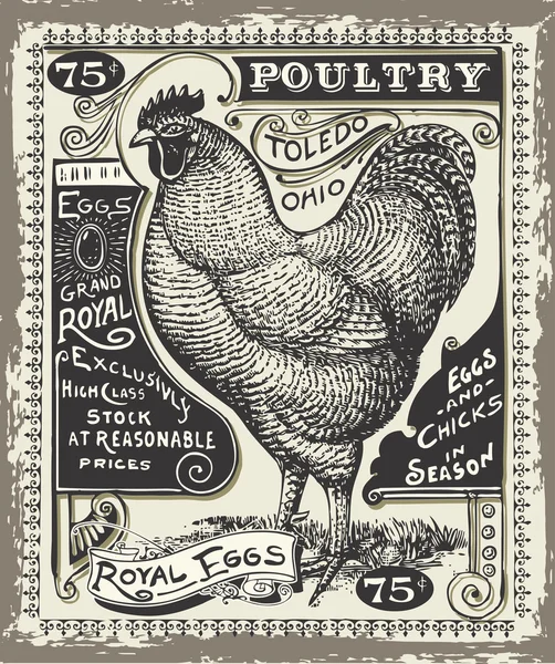 Página de publicidad de aves de corral y huevos vintage — Archivo Imágenes Vectoriales