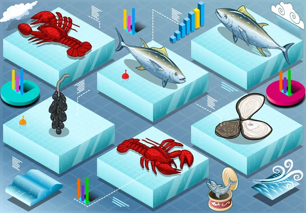Izometryczne Infographic życia morskiego — Wektor stockowy