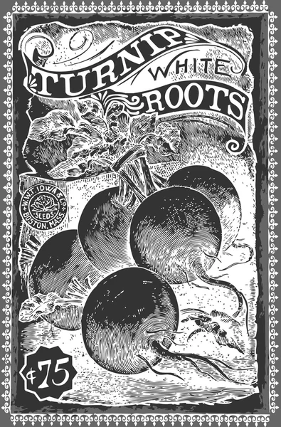 Vintage Greengrocer - Turnip publicité tableau noir — Image vectorielle