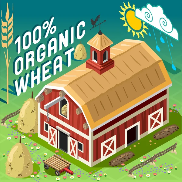 Isométrico Henhouse Free Range Farming — Vector de stock