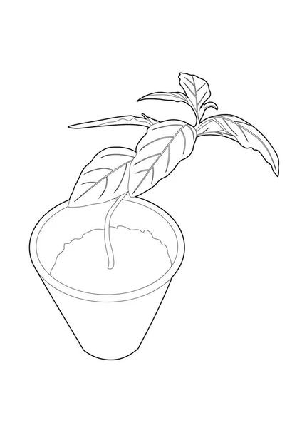 Vector Illustratie Tekening Van Een Kleine Groene Plant Eps Bestand — Stockvector