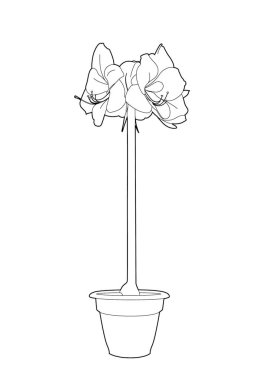 Bir saksıdaki çiçeğin vektör illüstrasyonu, EPS 10 dosyası
