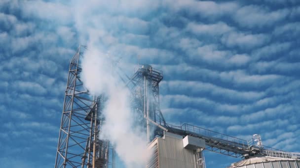 Secador de grãos. Fumo branco de chaminés no fundo do céu com nuvens. elevador de grãos. — Vídeo de Stock