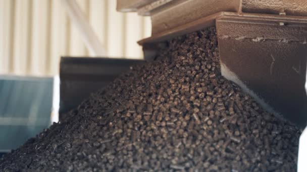 Production Fuel Briquettes Pile Brown Pellets Pouring Out Industrial Machine — ストック動画