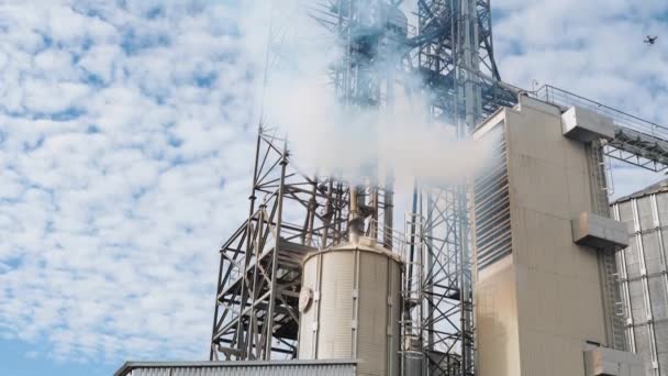 Poluição Indústria Fumo Branco Secador Grãos Industrial Fundo Céu Elevadores — Vídeo de Stock