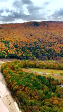Sonbahar yapraklarıyla kaplı dağ yamaçları kıvrımlı bir nehir ve dağınık evler. Kavisli bir yol, çimenli arazide yapıları birbirine bağlar. Hava görüntüsü. Dikey video.