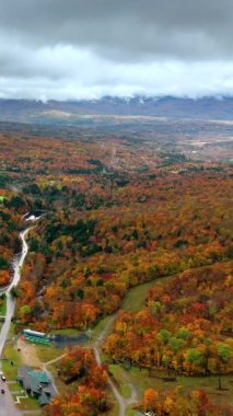 Virajlı yolu ve köşesinde binaları olan orman manzaralı tepeler. Renkli yaprakların üzerinde kalın bulutlar. Dikey video.