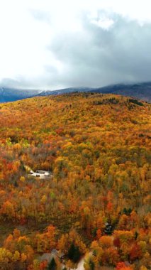 Bulutlarla kaplı dağ sırasına uzanan renkli orman tepeleri. Ağaçlarda sarı sonbahar yaprakları. Dikey video.