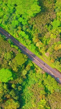 Diagonal road with vehicles surrounded by lush green forest. Contrast between nature and infrastructure. Oahu island, Hawaii. Aerial view. Vertical video.